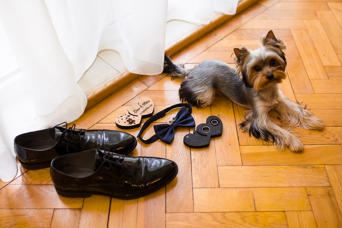 Nuntă la Cernica Events | Elena & Dumi · Lens of Alex